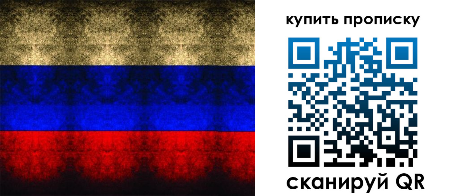 прописка в Электростали